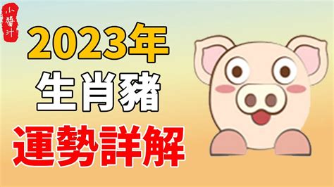 1971屬豬2024運勢豬女|【2024屬豬運勢1971】71年屬豬2024超神運勢：好運接連不斷！